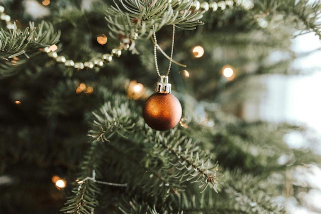 Estos son los árboles de Navidad naturales más especiales para decorar tu  casa - Foto 1