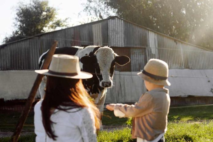 Día Internacional del Veganismo: Llaman a fortalecer compromiso ético con los animales