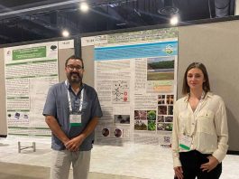 Empresas nacionales adjudican programa peruano para StartUps e ingresan a ese mercado Empresas nacionales adjudican programa peruano para StartUps e ingresan a ese mercado