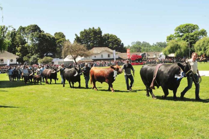 Más de 300 animales serán expuestos en SAGO Fisur 2023