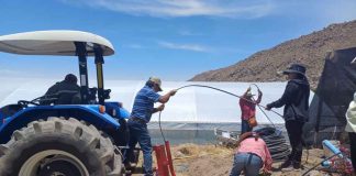 Instalan primer sistema de riego subterráneo en Putre: Ahorra hasta un 60% de agua para el cultivo de alfalfa