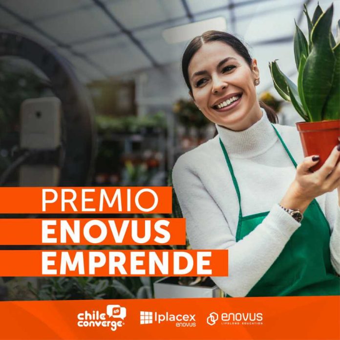 Desde invernaderos inteligentes a botiquines para mascotas: Estos son los semifinalistas del premio que fomenta el emprendimiento en el mundo técnico profesional