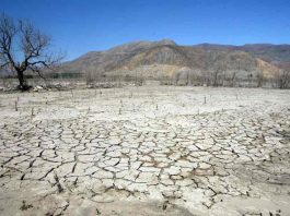 Experto convocado por Cámara de Diputados propone soluciones al problema de la sequía