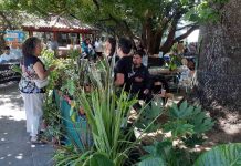 Gran interés despertó la Feria Sustentable realizada en Agronomía UdeC