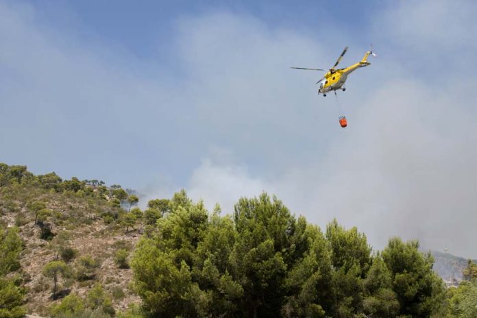 Incendios forestales seguirán aumentando con mayor fuerza en los próximos años en Chile y el mundo  