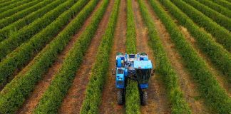 Los principales desafíos de la industria agrícola para el 2024