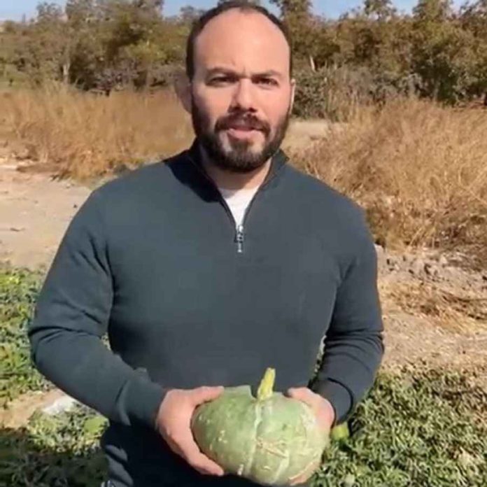 Nueva ficha técnica: zapallos de guarda chilenos con alto valor nutricional