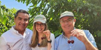 Productores de fruta enseñan el “viaje de la cereza” a la Embajadora de Estados Unidos en Chile