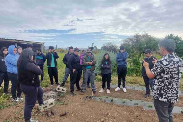 Reconversión productiva y recambio generacional: ¿Qué significan y por qué son esenciales para el futuro de la agricultura en la Región de Valparaíso?