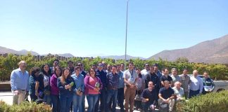 SAG y Frutas de Chile dan inicio a programa piloto para envíos de uvas de mesa bajo Systems Approach a México