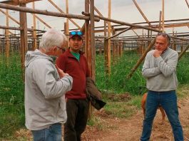 Agricultura Regenerativa: Transformando la Agricultura Tradicional en Chile. Avanza Consultorías y Terragénesis