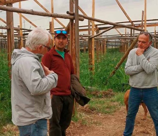 Agricultura Regenerativa: Transformando la Agricultura Tradicional en Chile. Avanza Consultorías y Terragénesis