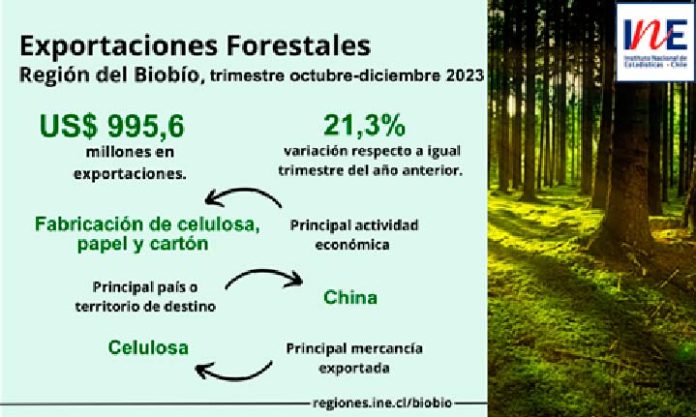 Exportaciones forestales de la Región del Biobío aumentaron 21,3% en el trimestre octubre-diciembre de 2023