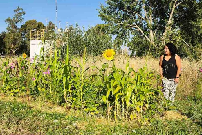 Investigadora de INIA implementó huerta agroecológica comunitaria utilizando residuos vegetales domiciliaros