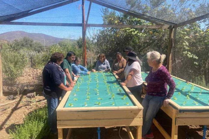 PTI Hortícola e INIA trabajan por la sostenibilidad en la horticultura local