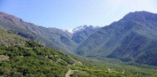 The Nature Conservancy y RRG Capital Management se unen para proteger 775 hectáreas de ecosistema mediterráneo en el Valle de Aconcagua 