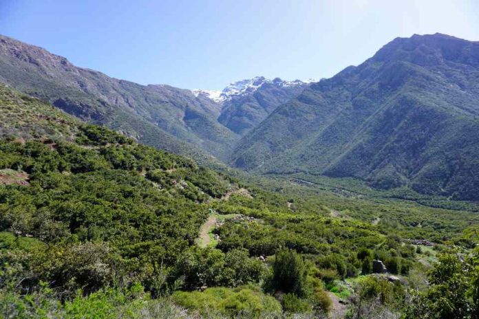 The Nature Conservancy y RRG Capital Management se unen para proteger 775 hectáreas de ecosistema mediterráneo en el Valle de Aconcagua 