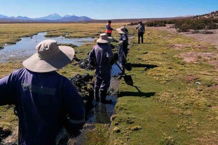 CONAF y CONADI implementan restauración de bofedales a través de prototipo de glaciares artificiales