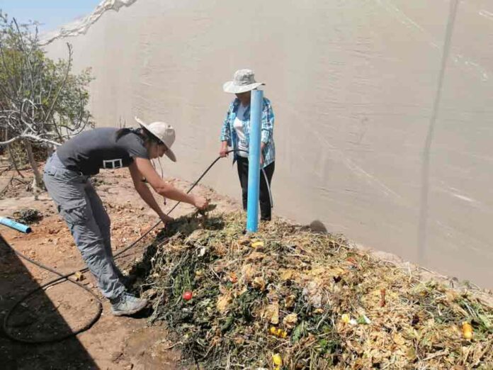 “El mayor aporte de las mujeres en la agricultura es el cariño que le ponen a todo lo que hacen”