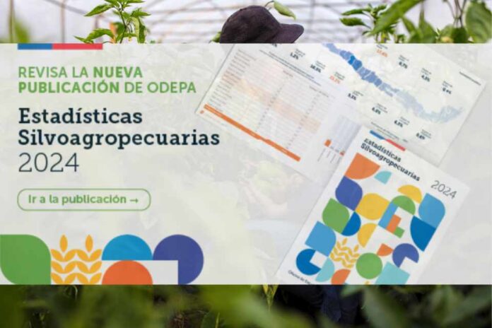 Estadísticas Silvoagropecuarias 2024: Sector aportó 2,8% al PIB Nacional durante 2022