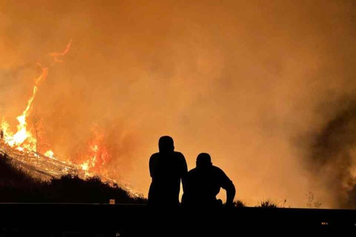 Partir de cero: El nuevo enfoque requerido para enfrentar los incendios forestales