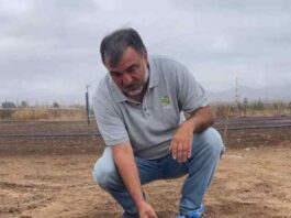 Prueban en Coquimbo sistema de riego altamente eficiente para cultivo de alfalfa