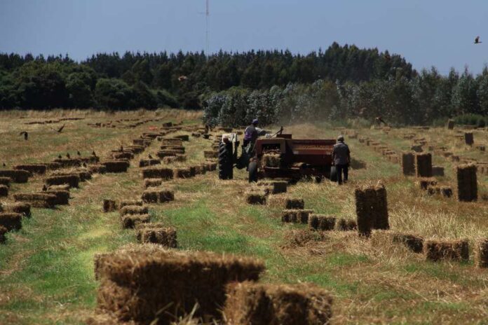 SAG Biobío llama a agricultores/as postular a concurso del Programa Recuperación de Suelos