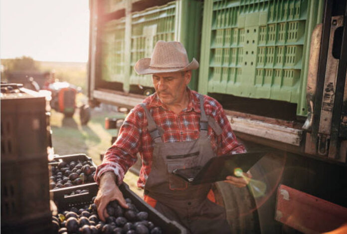 Rechazo de agroexportaciones se reducirá hasta un 90% con nueva herramienta tecnológica