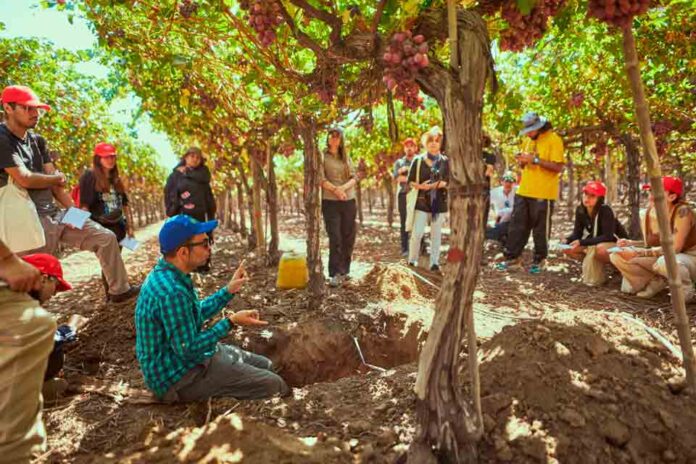 Bayer ForwardFarming: 70 estudiantes de Agronomía de la Universidad de Chile participan en recorrido por campo sustentable