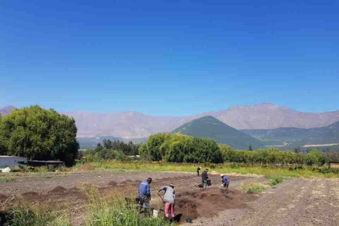 Camino hacia un sistema productivo adaptado al cambio climático