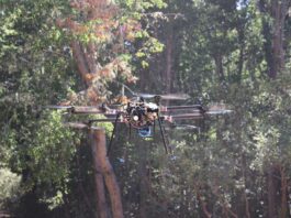 Drovid Technologies Revoluciona la Protección Forestal con Tecnología de Vanguardia en Chile