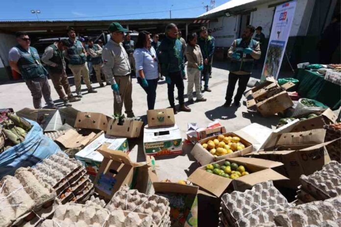 SAG decomisa 15 toneladas de productos agropecuarios y 13 mil huevos