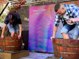 Vendimia Fest 2024: más de 40 viñas de los distintos valles vitivinícolas del país se preparan para la gran fiesta en torno al vino