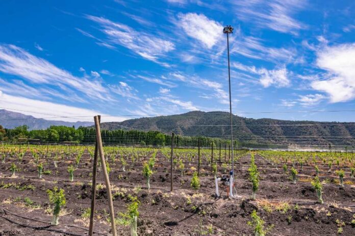 3 de junio, Día del Medioambiente Wiseconn enfatiza enfoque sostenible de la tecnología agrícola