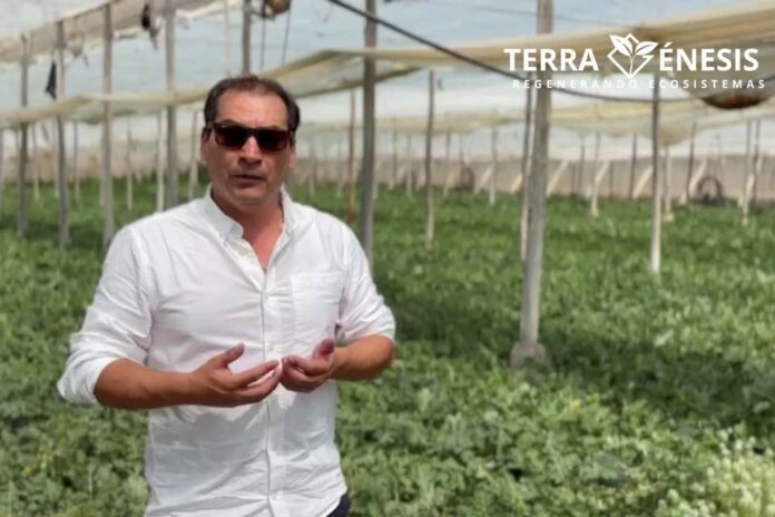 Agricultura Regenerativa en campos de sandías en Almería España. Cristian Sotomayor y Carlos Meza de Terragénesis, lideran proyectos en Chile.