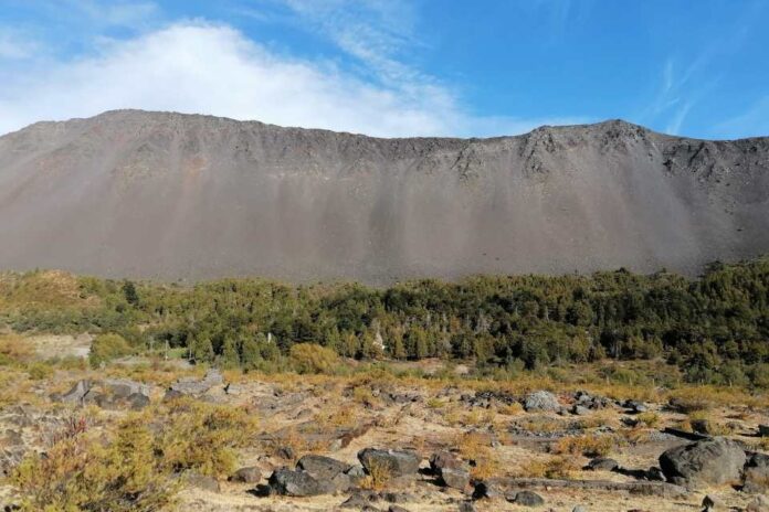 Avances en el desarrollo Plan de Acción Regional de Cambio Climático: Comité Regional de Cambio Climático y talleres