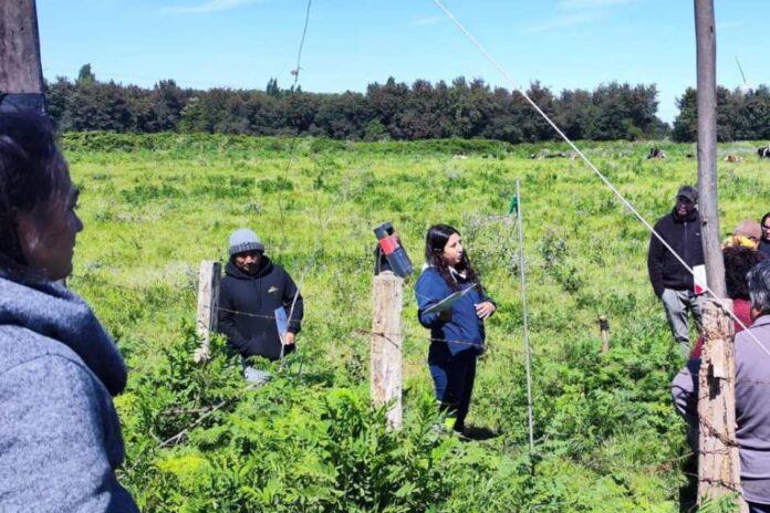 Capacitación sobre buenas prácticas agrícolas y tecnología solar impulsa el desarrollo sostenible en la ganadería del Biobío