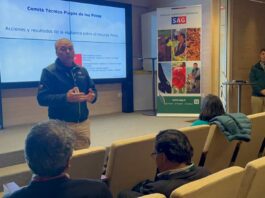 Comité Público Privado Forestal analizó situación de plagas en pinos y eucalyptus Comité Público Privado Forestal analizó situación de plagas en pinos y eucalyptus