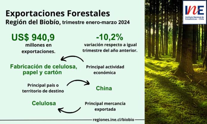 Exportaciones forestales de la Región del Biobío disminuyeron 10,2% en el trimestre enero-marzo de 2024