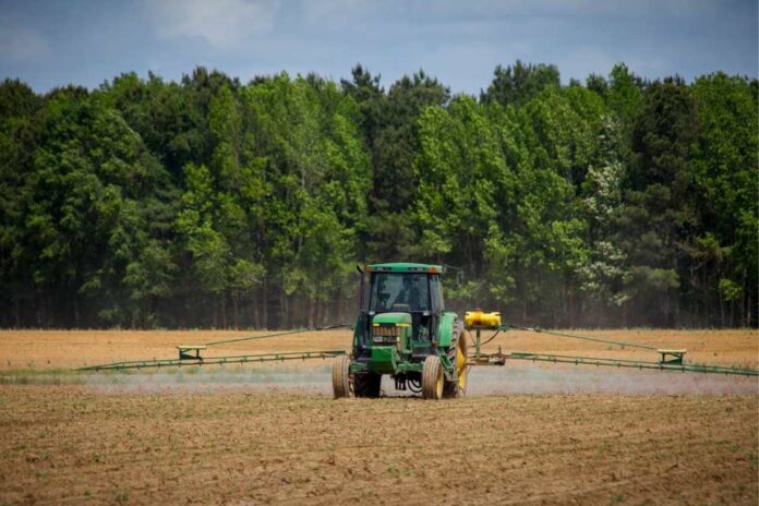 Financiamiento a la agricultura: Una inversión en el futuro de la nutrición