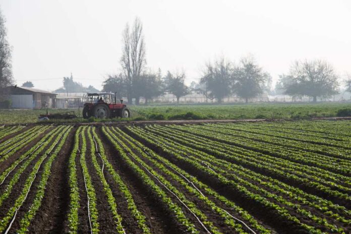 INDAP llama a agricultores del Biobío a postular a programa de recuperación de suelos agropecuarios