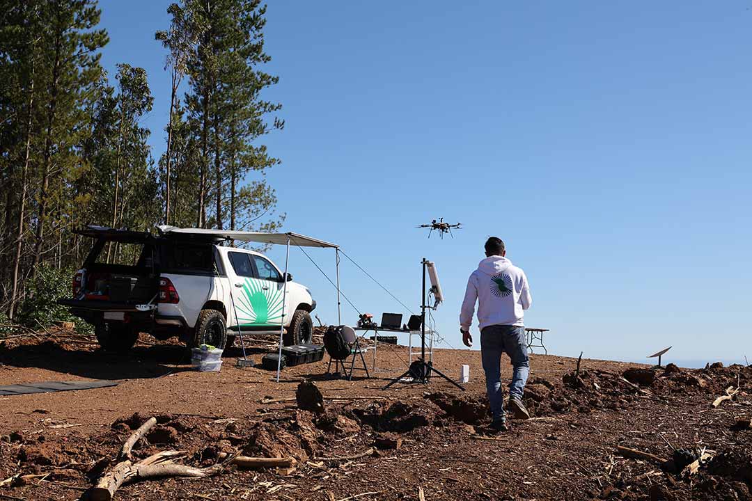 Innovación en la Prevención de Incendios Forestales y el robo de madera: El Caso de Forestal Santa Blanca