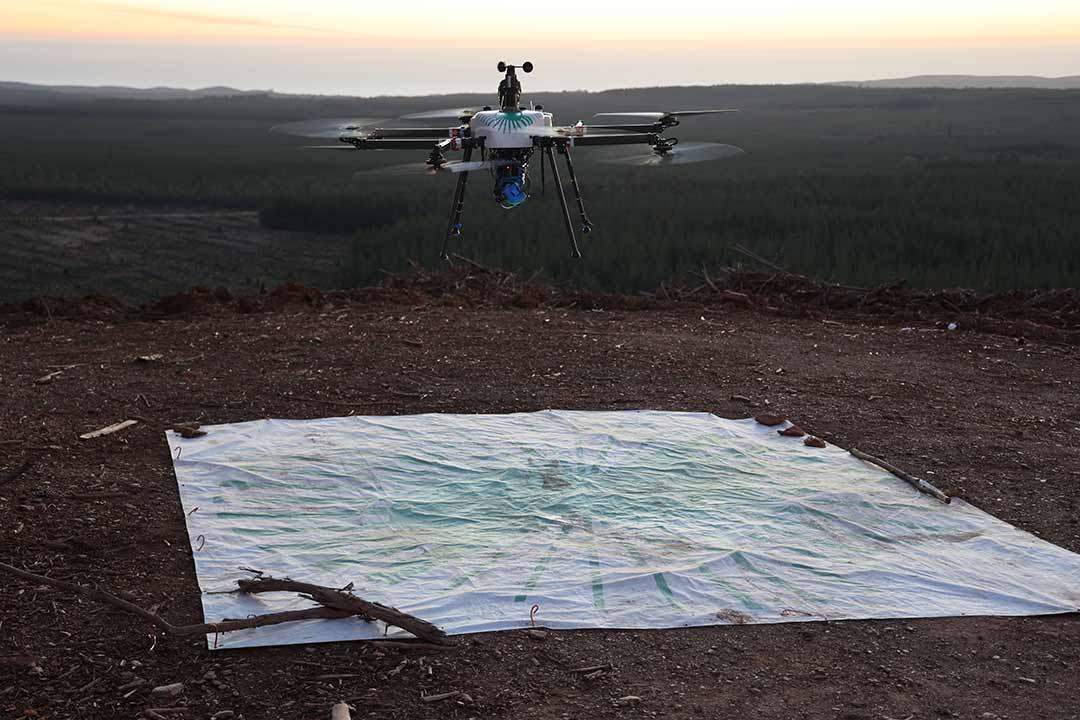 Innovación en la Prevención de Incendios Forestales y el robo de madera: El Caso de Forestal Santa Blanca