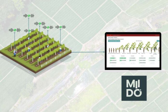MIIDO Revolucionando la Agricultura con Tecnología Basada en Voz MIIDO: Revolucionando la Agricultura con Tecnología Basada en Voz