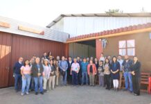 Mesa Regional de Enoturismo del Biobío busca posicionar proyectos vitivinícolas con apoyo de INDAP