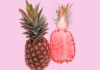 Piña rosada la fruta genéticamente modificada que es tendencia mundial