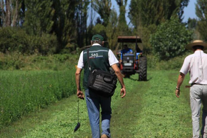 SAG Biobío llama a agricultores/as a postular a concursos del Programa Recuperación de Suelos