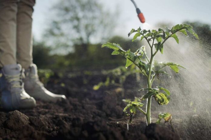 UCM desarrolla nueva herramienta para el cuidado de la salud de trabajadores/as agrícolas frente a los pesticidas