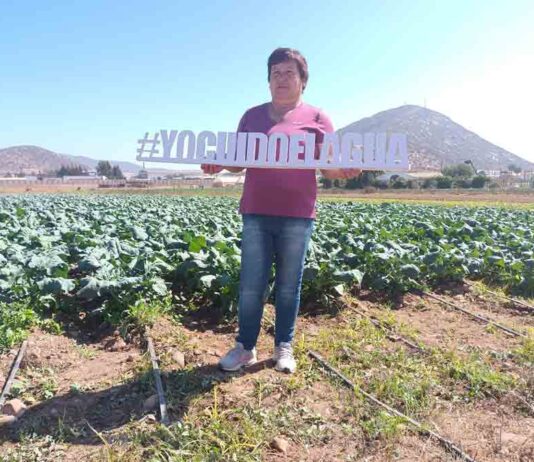 Agricultoras del Norte Chico podrán presentar sus proyectos al Concurso Nacional de Riego para Mujeres de la CNR