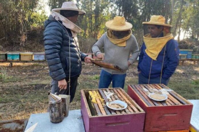 Agricultores destacan beneficios de los seguros para el agro con subsidio estatal para proteger la producción